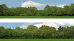 ID Backscenes ID149A OO Gauge 15" Just Trees (A) Backscene (2x 5')