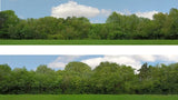 ID Backscenes ID149A OO Gauge 15" Just Trees (A) Backscene (2x 5')