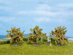 Noch 25114 HO/OO Gauge Orange Trees 4cm (Pack of 3)