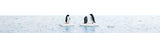 Busch 7923 HO/OO Gauge Penguins on Ice Floes