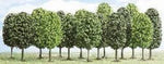 Busch 6486 HO/OO Gauge 12 Park Trees