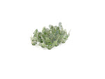 Gaugemaster GM1663 OO/HO Gauge Stinging Nettles (10) Kit