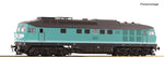 Roco 7310059 HO Gauge DBAG BR234 304-4 Diesel Locomotive V (DCC-Sound)