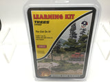 Woodland Scenics LK953 Realistic Trees Scenic Learning Kit