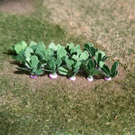 Tasma Products 00984 OO/HO Gauge Turnip Plants (Pack 14)