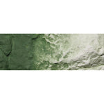 Woodland Scenics C1228 Green Undercoat Earth Colours Liquid Pigment