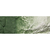 Woodland Scenics C1228 Green Undercoat Earth Colours Liquid Pigment